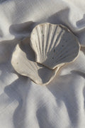 sea salt shell dish