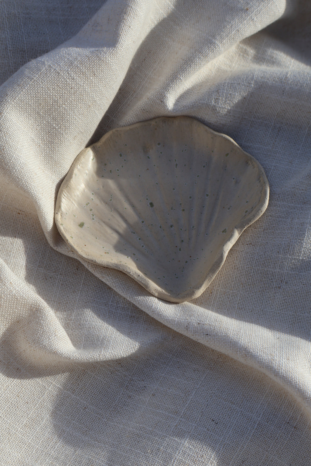 sea salt shell dish