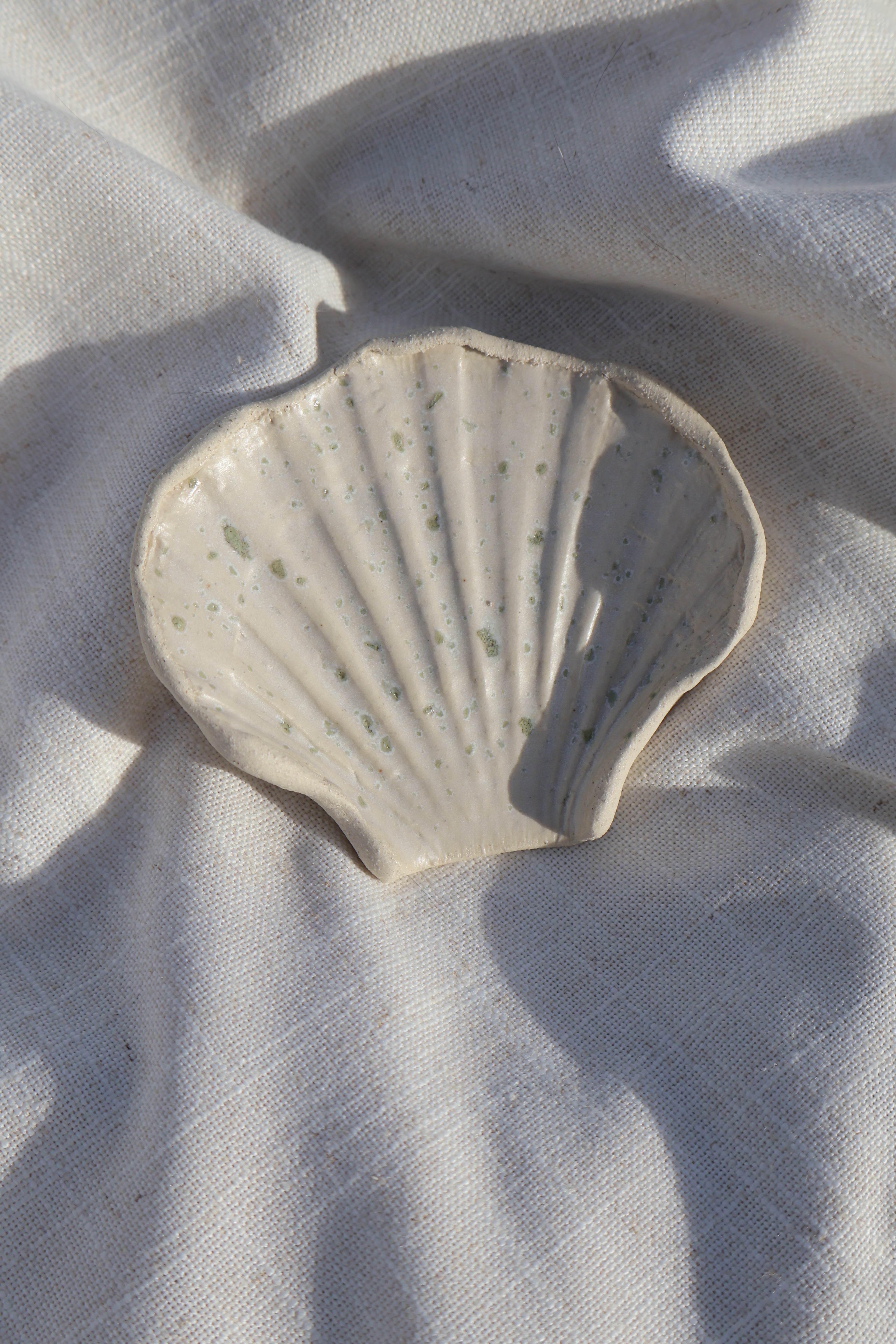 sea salt shell dish
